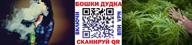 Купить закладку Агрыз Псилоцибиновые грибы  СК  Бошки Шишки  Меф  КОКАИН 