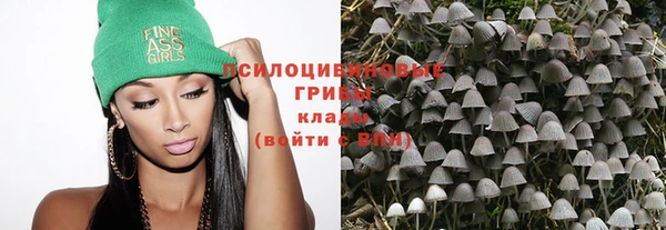 spice Алзамай