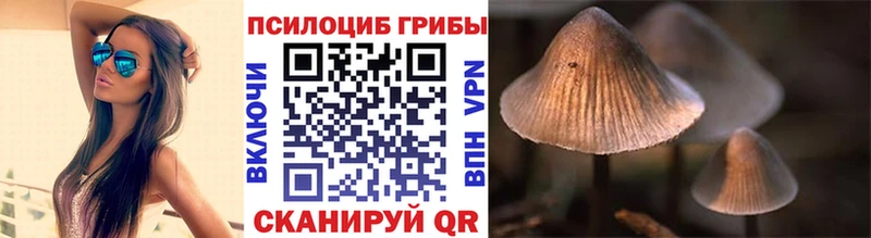 купить   Агрыз  МЕГА сайт  Псилоцибиновые грибы мухоморы 
